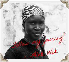 Alek Wek Journey Home