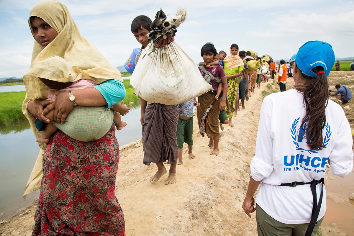 Rohingya refugees flee to camp.