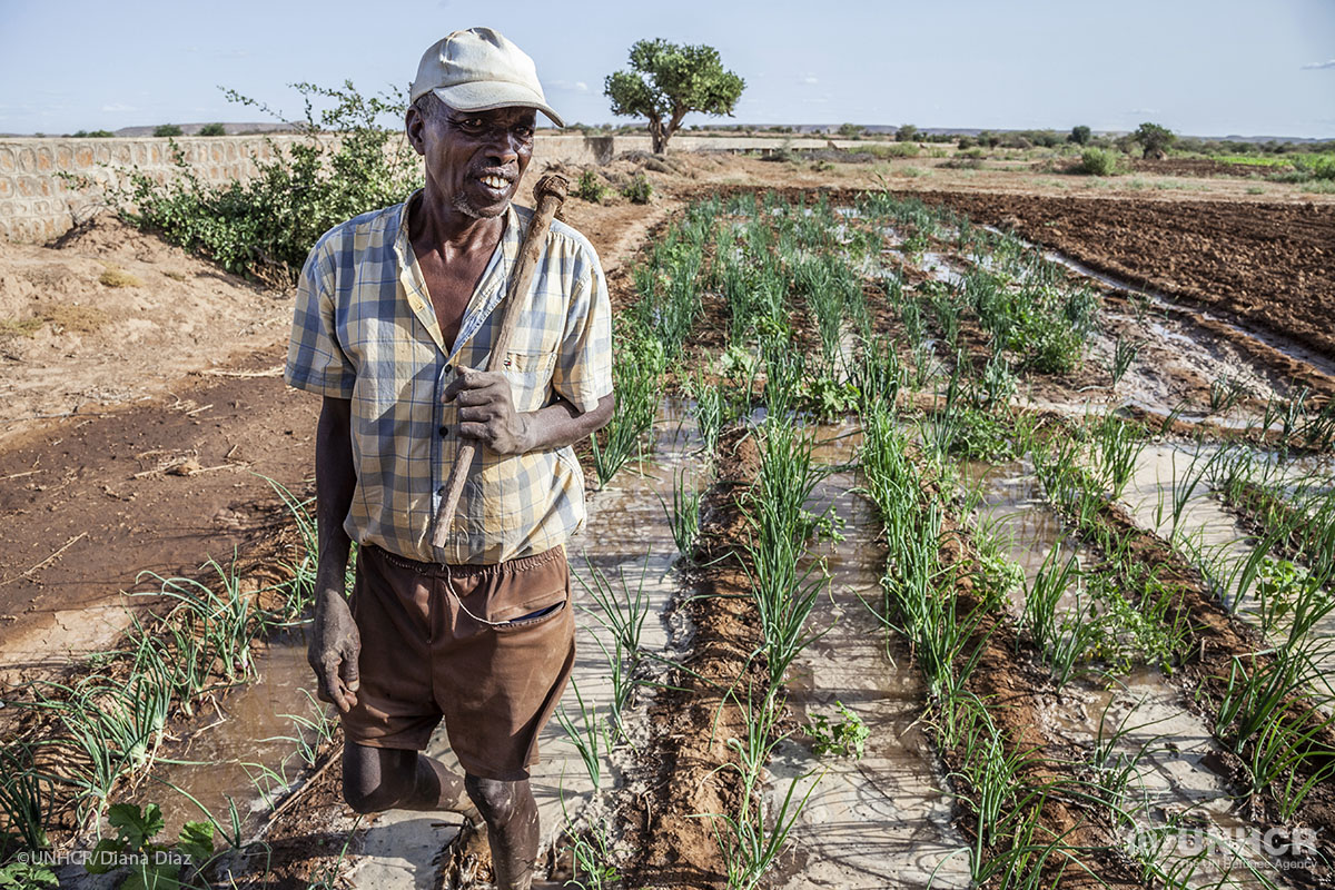Selat Mahamud Farah, a 64-year-old farmer, irrigates his onions on land near Melkadida camp – home to over 30,000 Somali refugees.