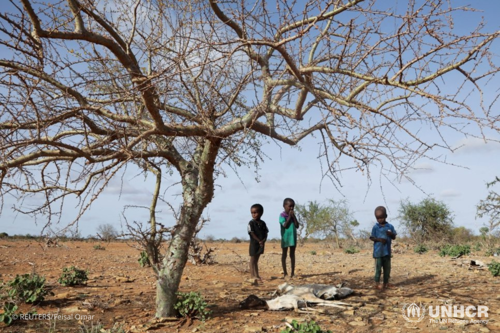 Internally displaced Somali children Ali Abdulahi, Osman Abdulahi and Mohamed Abdulahi stand near the carcass of their dead livestock following severe droughts near Dollow, Gedo Region, Somalia