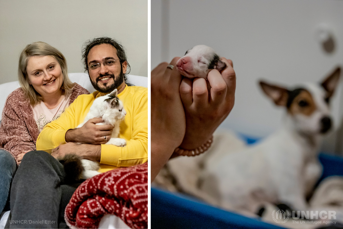 Syrian refugee Mawaheb, his wife Ida, and their cat, dog and puppies
