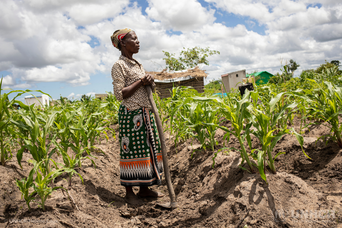 Isabella, displaced by Cyclone Idai, farms in Mozambique