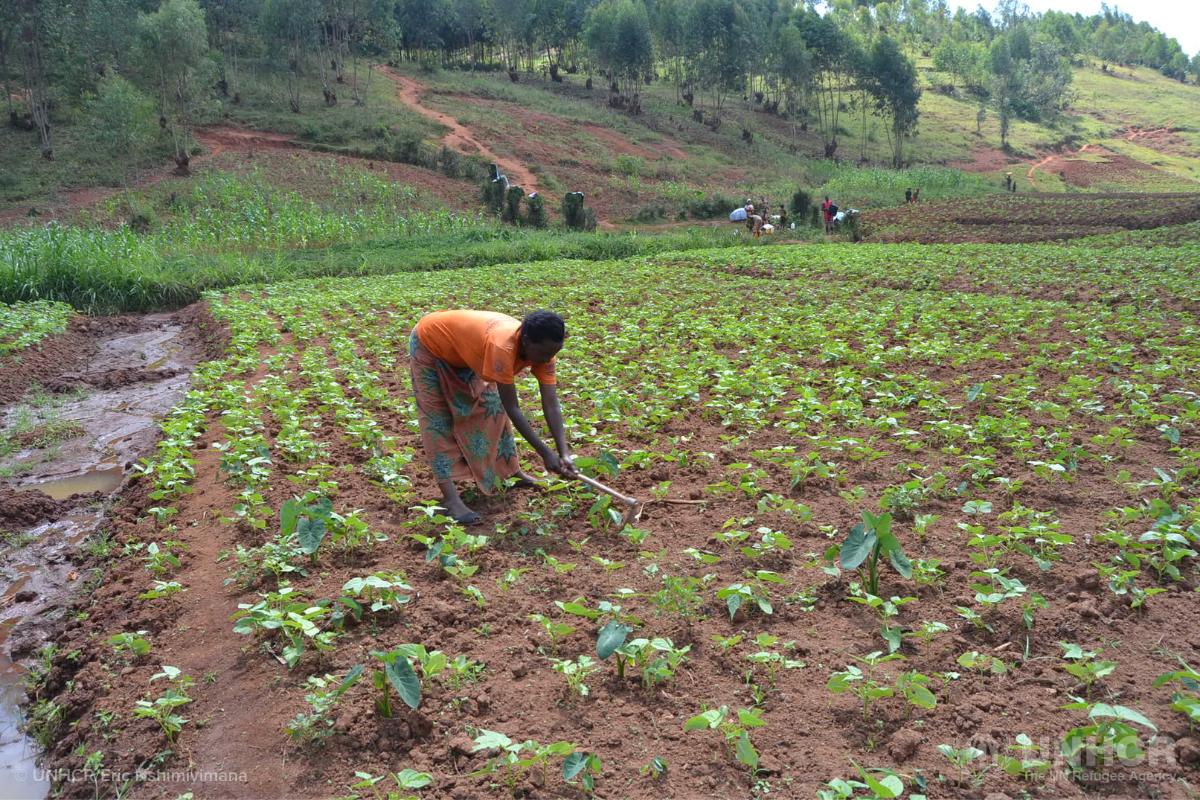 Francine farms in Rwanda