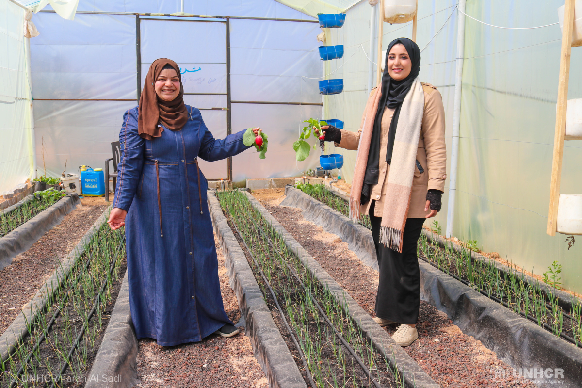 Syrian refugee standing with her Jordanian friend has they collect vegetables from the UNHCR funded hydroponic farm