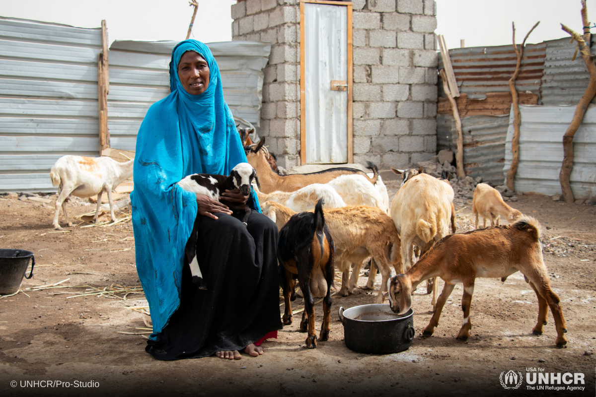 Somali refugee mother sitting in her backyard where she keeps a herd of goats
