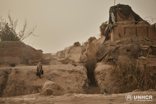 The arid landscape of Helmand Province where the effects of a severe drought are apparent everywhere.