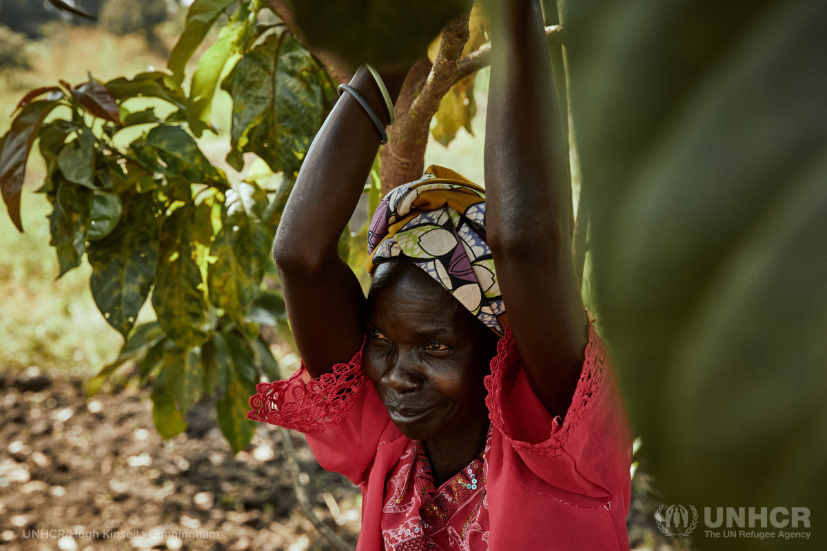 South Sudanese refugee Tabu farms in DRC